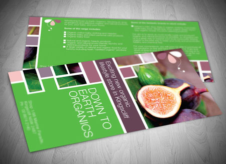 Tweed Heads and Gold Coast DL Flyer Design and Printing Services