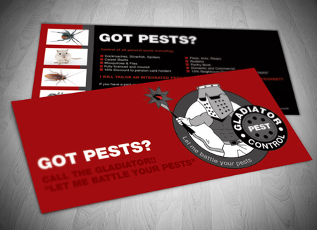 Tweed Heads and Gold Coast DL Flyer Design and Printing Services